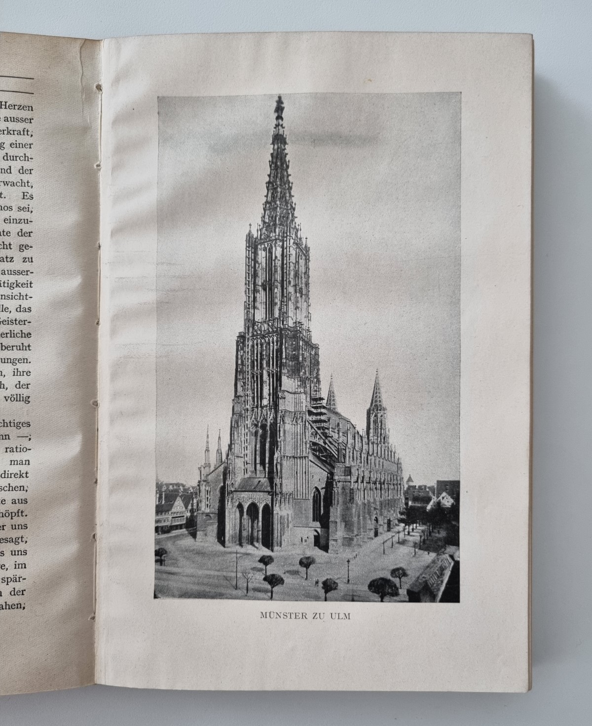Formprobleme der Gotik Bildtafel Münster zu Ulm