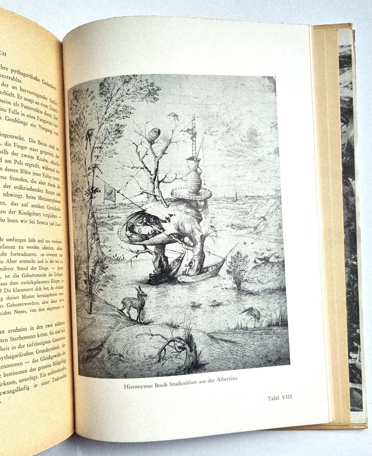 Hieronymus Bosch. Das Tausendjährige Reich. Buch von 1947. Bildtafel VIII