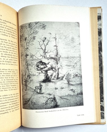 Hieronymus Bosch. Das Tausendjährige Reich. Buch von 1947. Bildtafel VIII